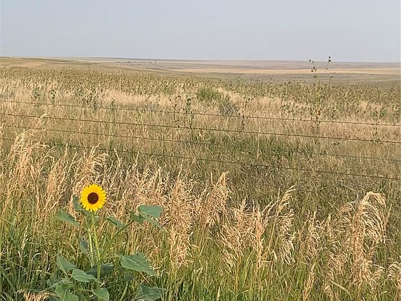 3rd image of 39115 County Road 166