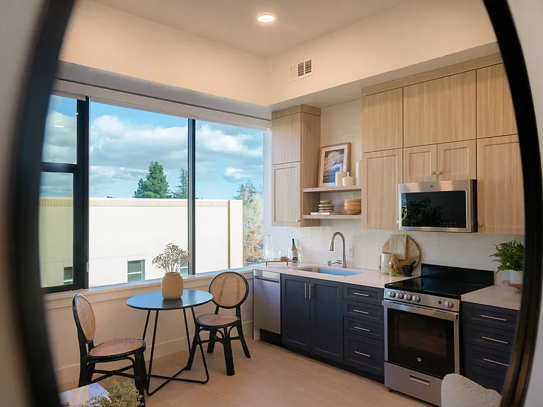 1 Bedroom Kitchen