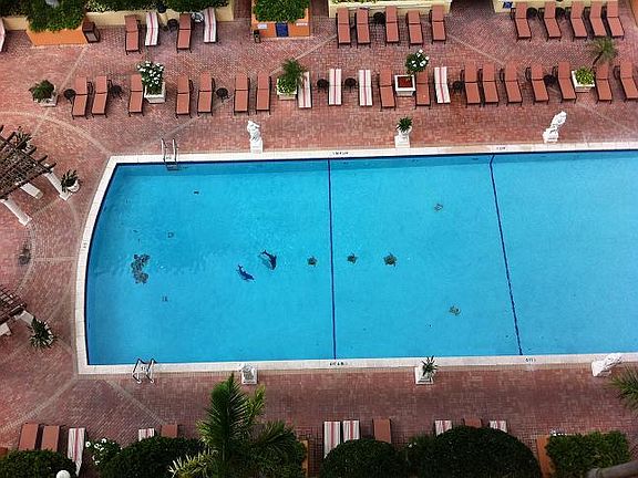 5th image of 5085 NW 7th St APT 1411
