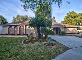 14005 Ellesmere Dr, Tampa, FL 33624