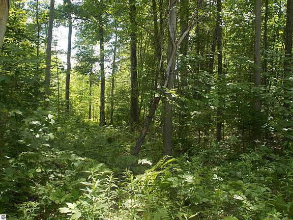 4th image of Fern St