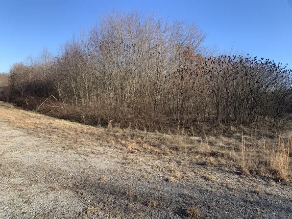 0 Williams Dr Lot 117.00, Spencer, TN 38585