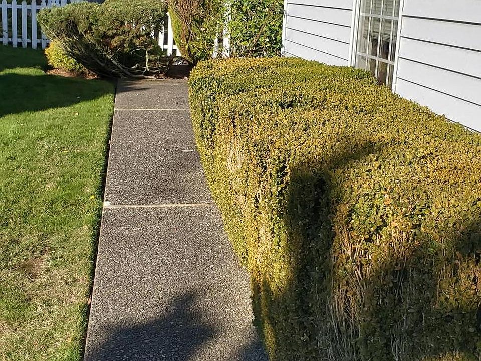 Walk Way to your front door - small fenced in back yard