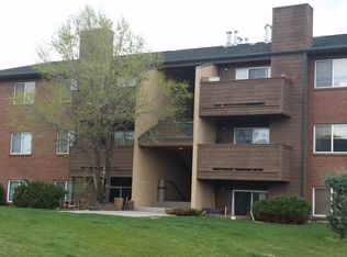 82 Roaring Fork Ave APT B1, Carbondale, CO 81623