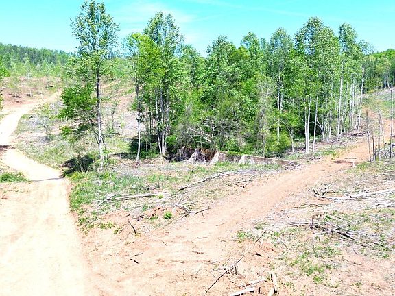 4th image of Mines Rd #218 acres