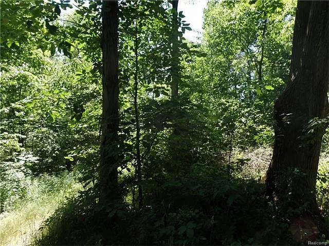 E Allen Rd photo 1