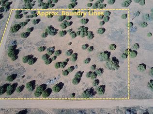 5100 W Falcon Dr, Taylor, AZ 85939