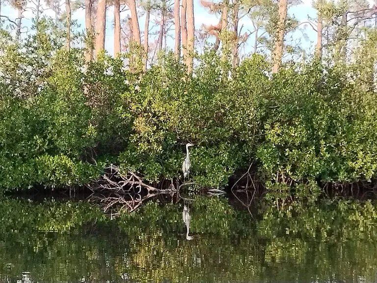 2430 Brookwood Dr — Photo 44