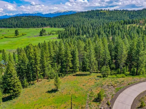 Tbd Tamarack View Dr, New Meadows, ID 83654