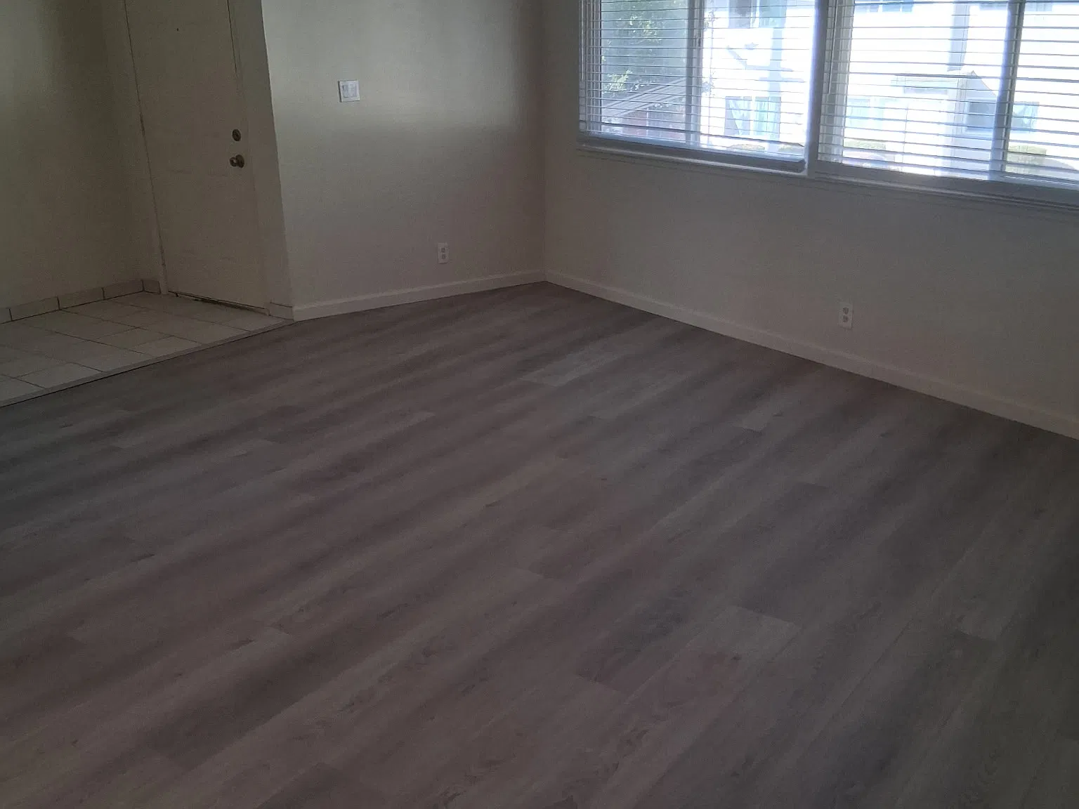 2 bed, 800 sqft, $1,450 — Photo 3
