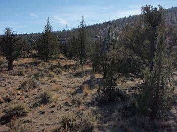 2nd image of 10270 Sundance Ridge Loop