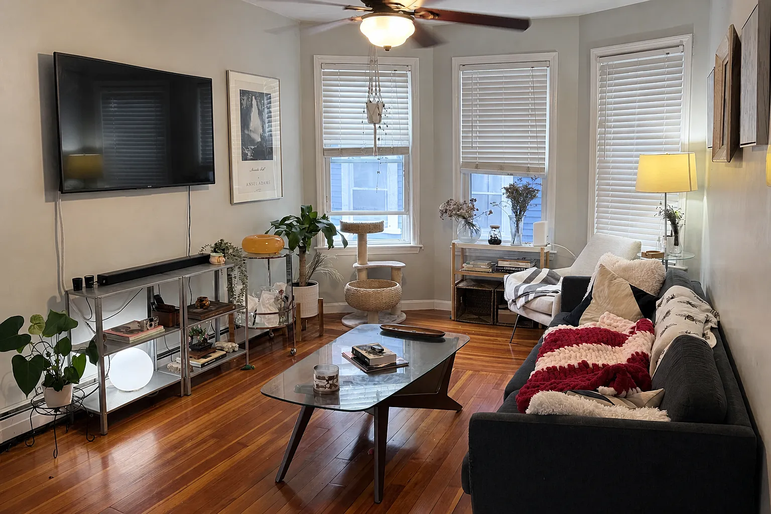 3 bed, 841 sqft, $1,500 — Photo 1