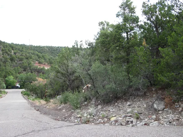 0 Beaver Ln, Cedar Crest, NM 87008