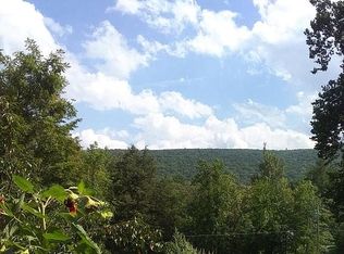 113 Shin Hollow Rd, Pt Jervis, NY 12771