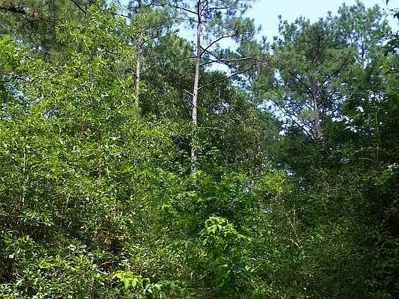 5th image of 660 County Road 415