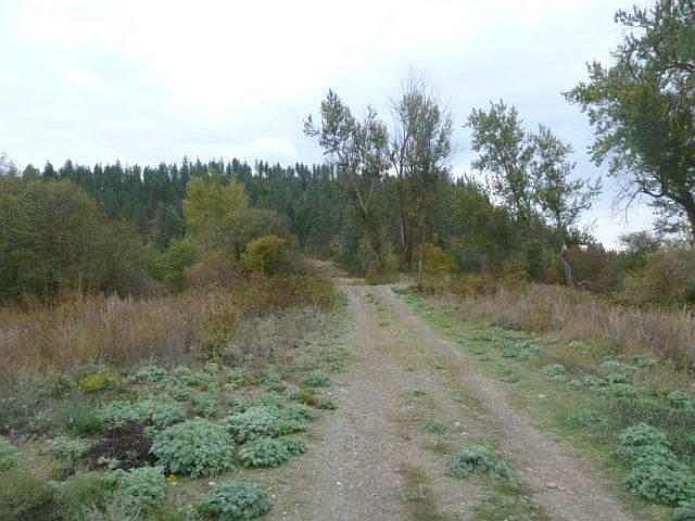 2nd image of 0 Streamside Rd