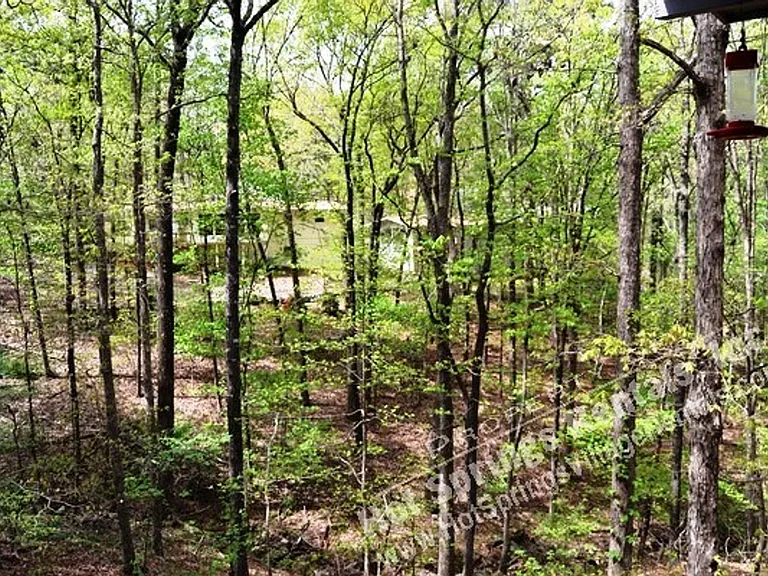 9 Ona Cir — Photo 26