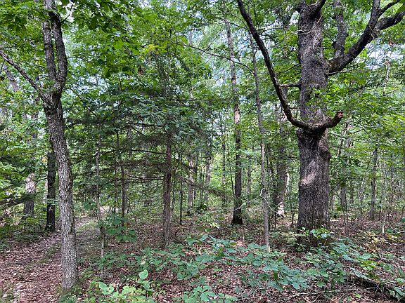 3rd image of TBD Highway B