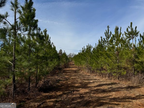 17 Dozier Rd, Ellaville, GA 31806
