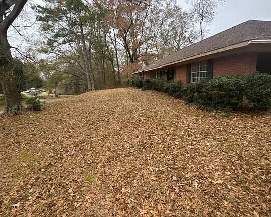 2nd image of 313 Magnolia St