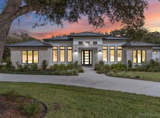 3937 W Shadow Creek Loop, Lecanto, FL 34461