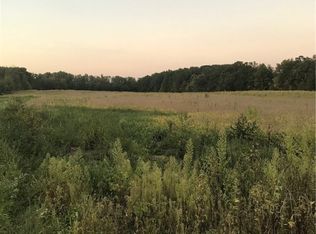 Betts Rd, Wellington, OH 44090