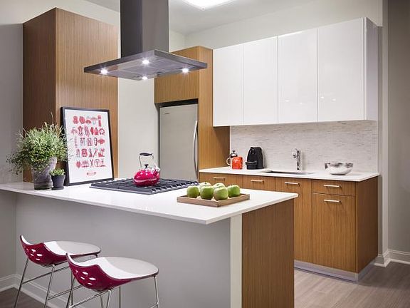 2nd image of 505 N Lake Shore Dr APT 1904