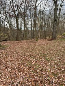 Marshall St, Allegan, MI, 49010