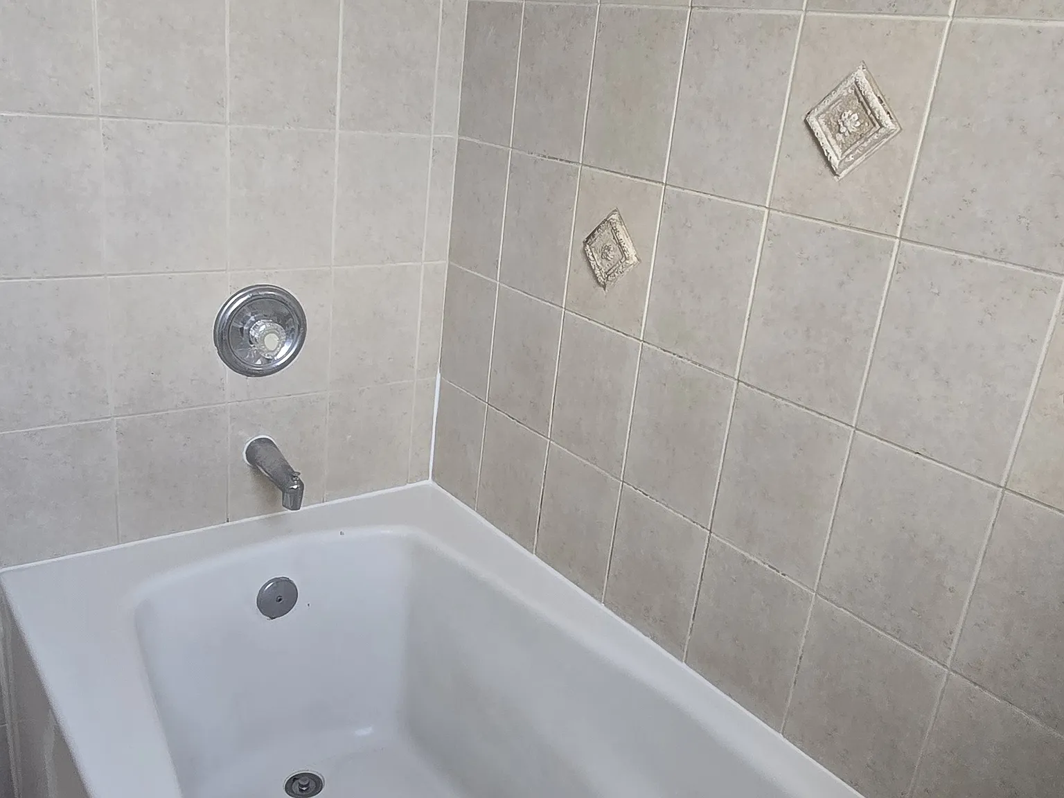 2 bed, 750 sqft, $1,500 — Photo 3