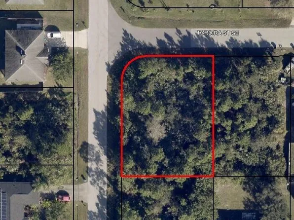 1300 Tordira St SE, Palm Bay, FL 32909