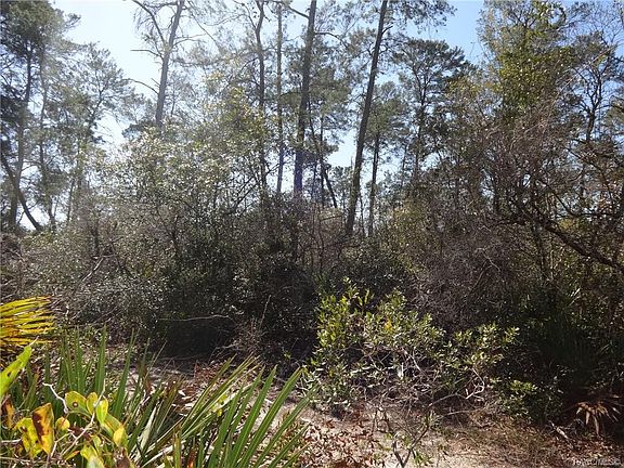 4th image of 5234 W Gail Ln
