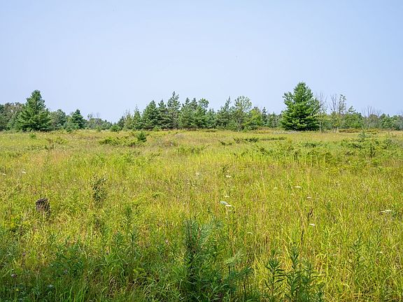 5th image of 0 Blackberry Rd