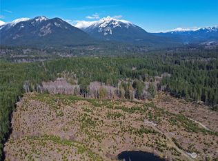 248 Hardy Ln, Packwood, WA 98361