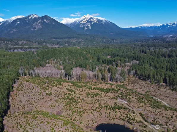248 Hardy Lane, Packwood, WA 98361