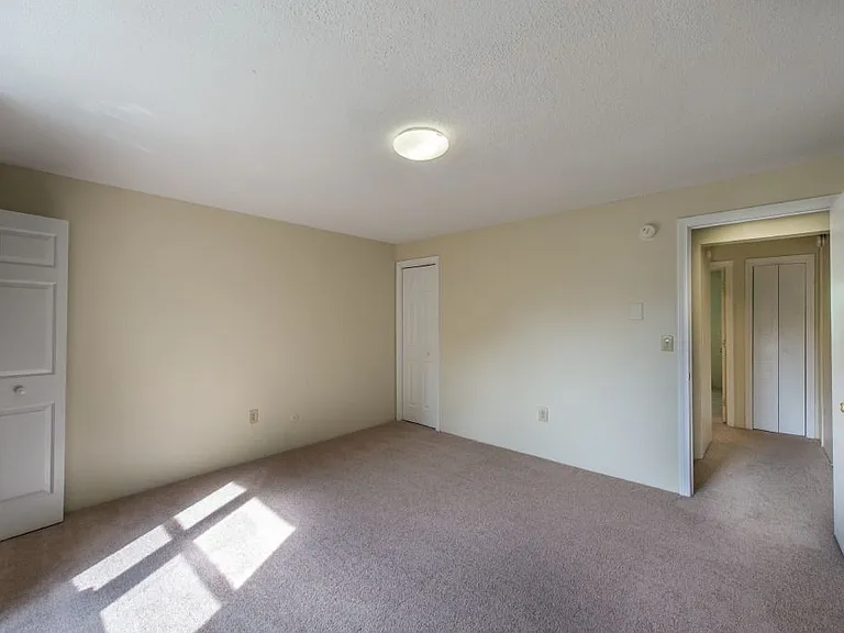 Carpeted Room