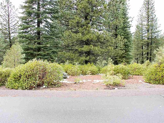 2nd image of 568 Bailey Creek Dr