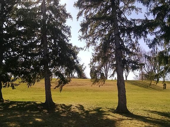 3rd image of 1481 Autumnwoods Dr