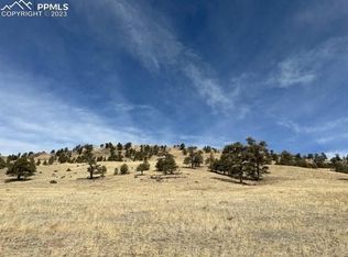 540 Lakeview Rd, Lake George, CO 80827