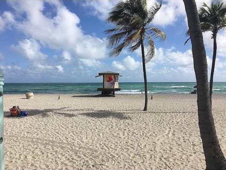 hollywood beach