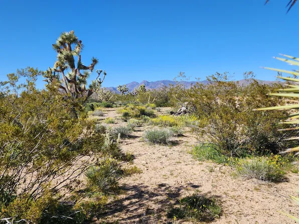 258 S Wagon Trail Rd, Yucca, AZ 86438