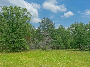 Bluebird Ln, Bedias, TX 77831
