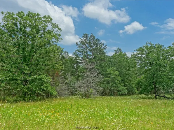 Bluebird Ln, Bedias, TX 77831