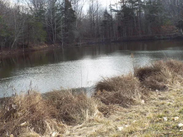 1130 Jones Trl, Nathalie, VA 24597