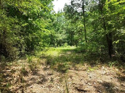 Tbd2 Trail Ride Rd, Coldspring, TX, 77331