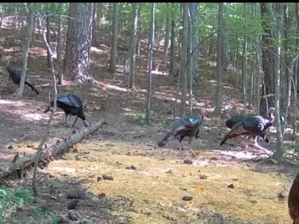 635 Tobacco Ridge Rd, Prince Frederick, MD 20678