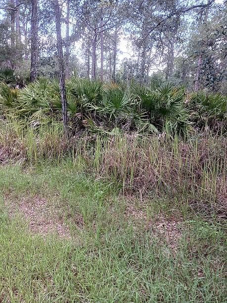 1st image of 809 FLEETWOOD STREET LOT 2