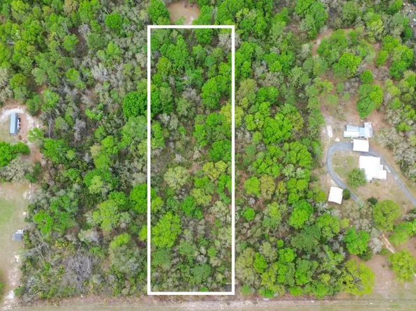 0 NE 435th Ave, Old Town, FL 32680