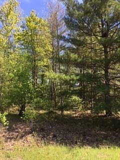 4th image of LOT 12 Dennis Ln