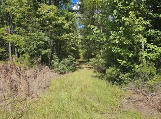 0 McAlhany Rd, Reevesville, SC 29471