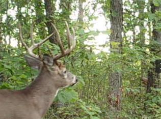 XX153 River Road, St Croix Falls, WI 54024